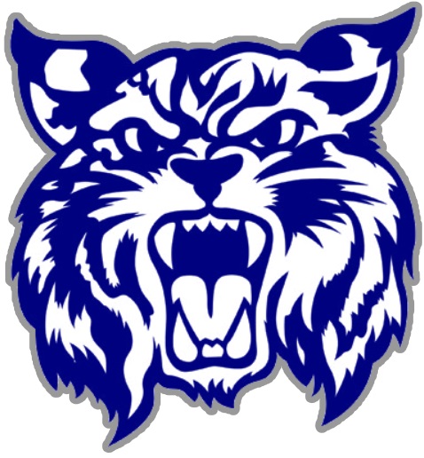 Burr Oak boys beat Bellevue 79-37